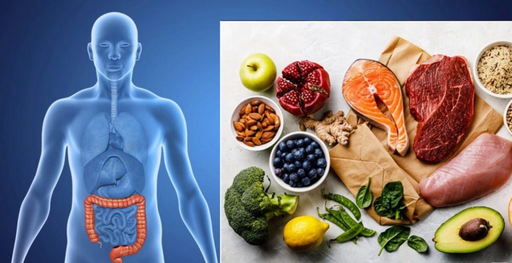 رژیم غذایی پرچرب چگونه سیستم ایمنی روده را تضعیف می‌کند؟