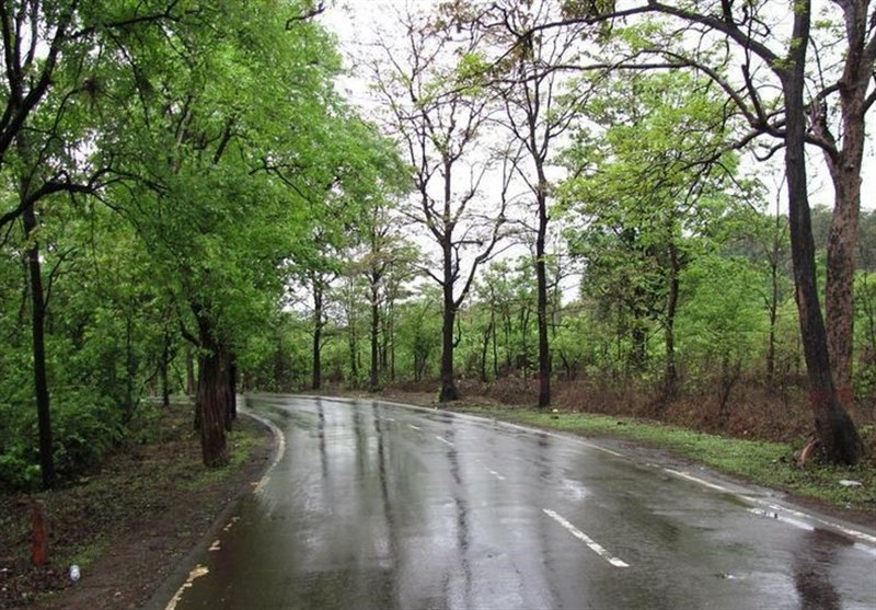 سردشدن هوا در روزهای آخر تابستانی به همراه بارندگی+فیلم