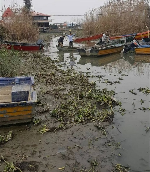 آینده نگرانکننده تالابهای شمال کشور | زنگ خطر برای اکوسیستم هیرکانی | غیبت پرندگان مهاجر در تالابها! 1 آینده نگرانکننده تالابهای شمال کشور | زنگ خطر برای اکوسیستم هیرکانی | غیبت پرندگان مهاجر در تالابها! پاییز امسال، آسمان گلستان از پرواز نیممیلیون پرنده مهاجر خالی شد؛ زنگ خطری که از تبدیل تالابهای بینالمللی این استان به کانون گردوغبار و تهدید معیشت هزاران خانوار حکایت دارد.