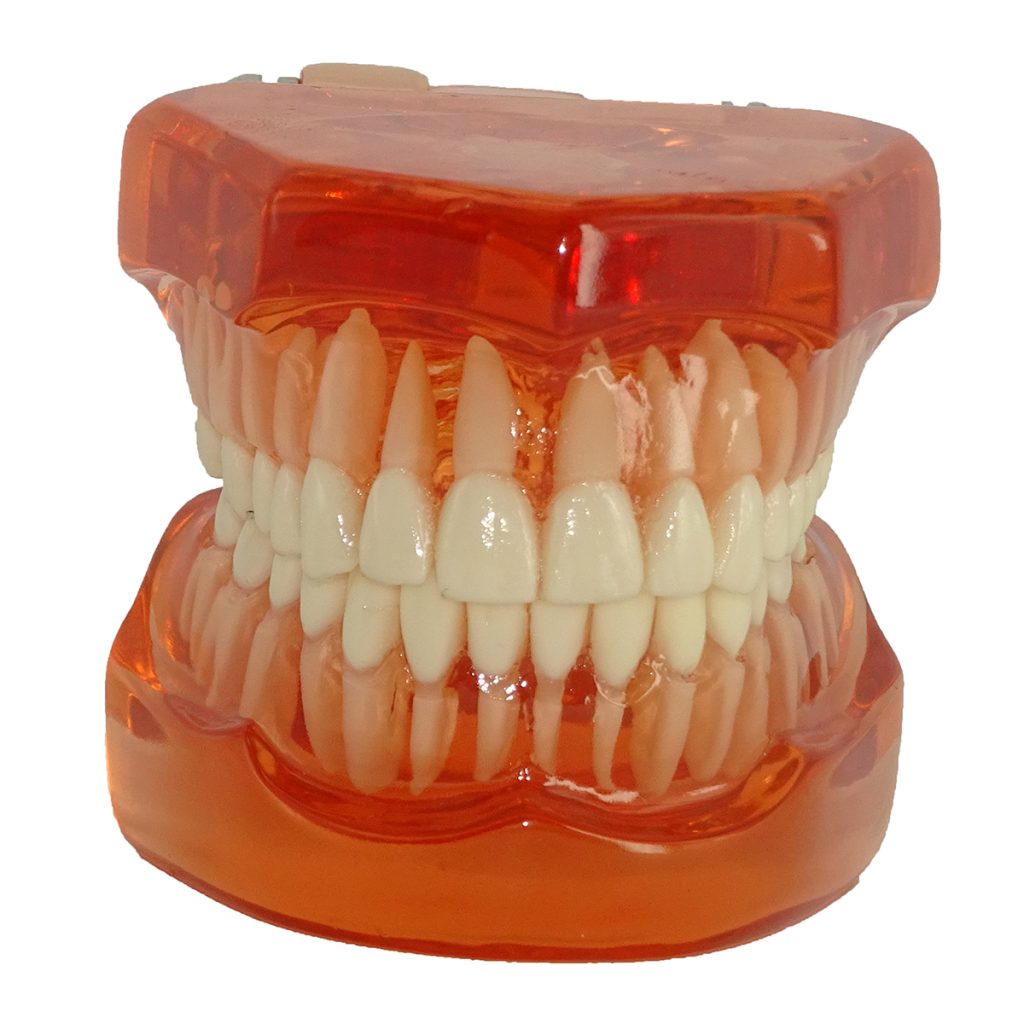 دانشآموزان دبستانی به طور میانگین ۵ دندان پوسیده دارند/اجرای پویش سلامت دهان از هفته آینده 2 دانشآموزان دبستانی به طور میانگین ۵ دندان پوسیده دارند/اجرای پویش سلامت دهان از هفته آینده