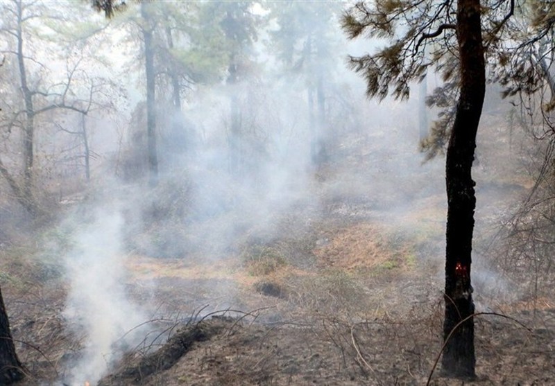 80 درصد آتش‌سوزی جنگل الیت مهار شد