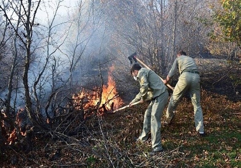 80 درصد آتشسوزی جنگل الیت مهار شد 1 80 درصد آتشسوزی جنگل الیت مهار شد