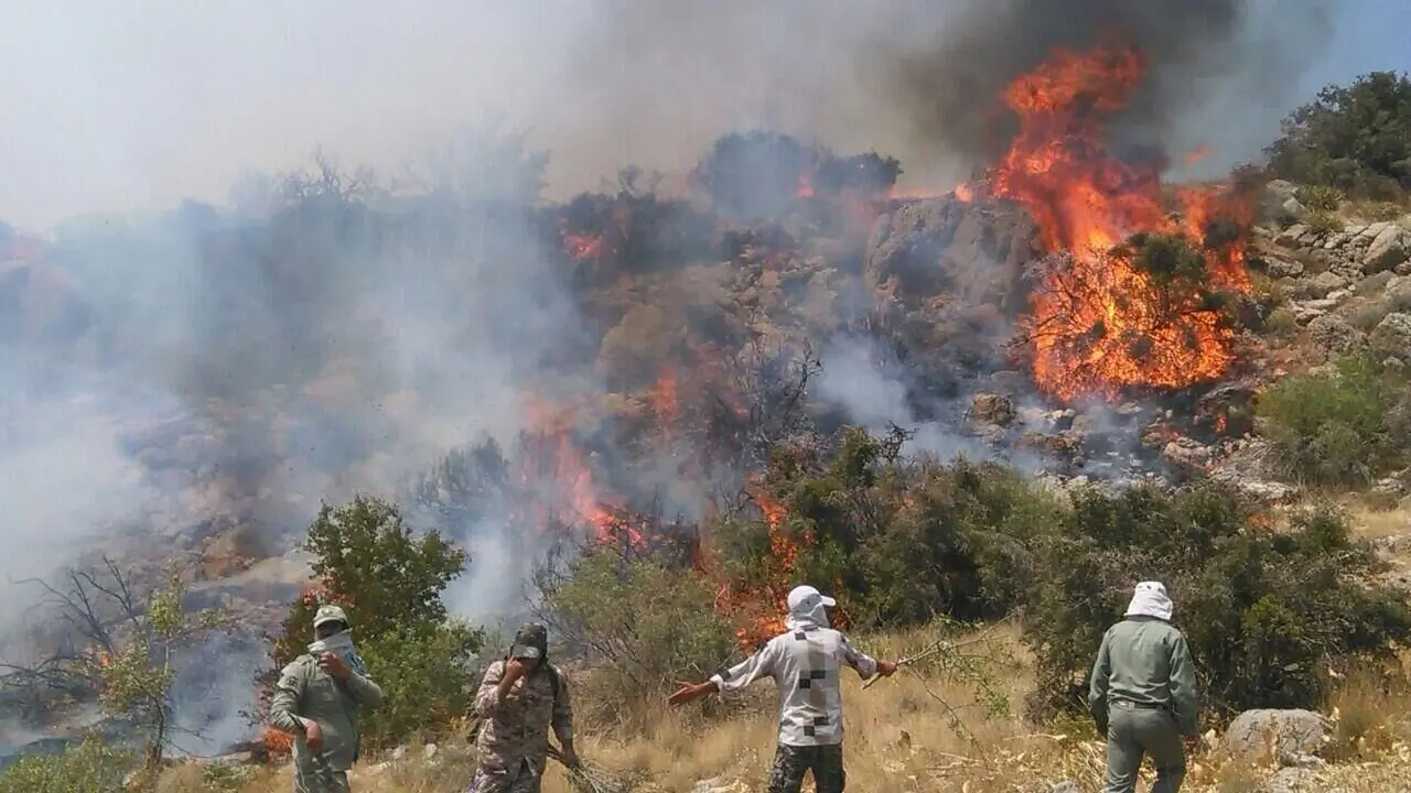 عامل آتش‌سوزی جنگل‌های هیرکانی دستگیر شد+ جزئیات پرونده