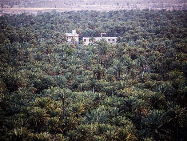 10 آذر زلزله 4 ریشتری در فین هرمزگان!