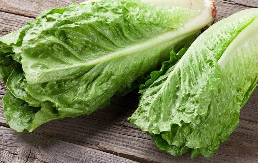 چه قسمتی از کاهو نیترات دارد؟